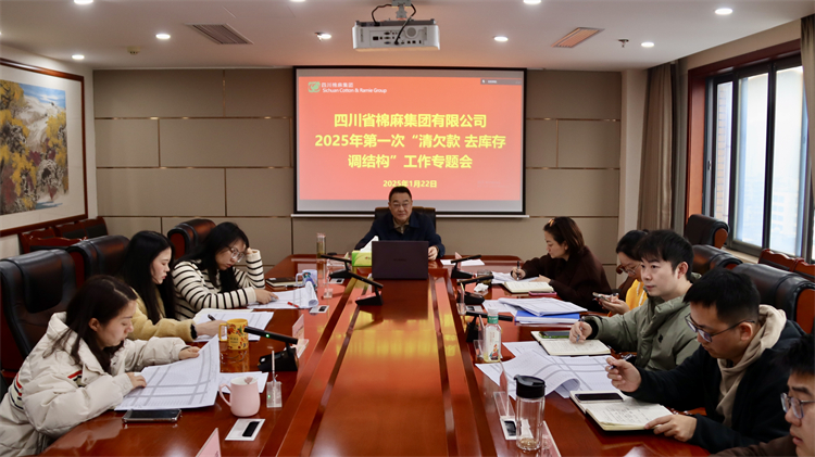 集團公司召開2025年第一次“清欠款、去庫存、調結構”工作專題會